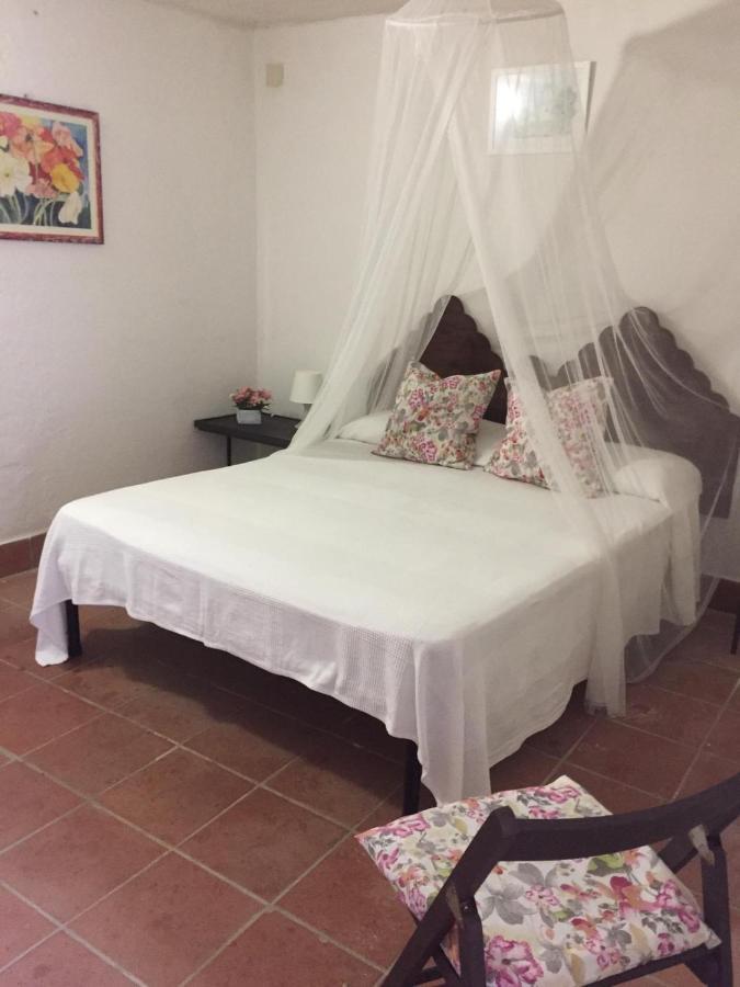 Agroturistica Villa Mantineo Capo Vaticano Εξωτερικό φωτογραφία